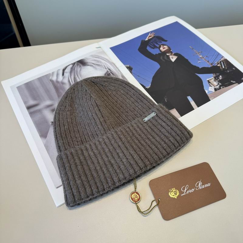 Loro Piana hat (2594)