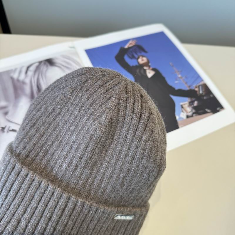 Loro Piana hat (2595)