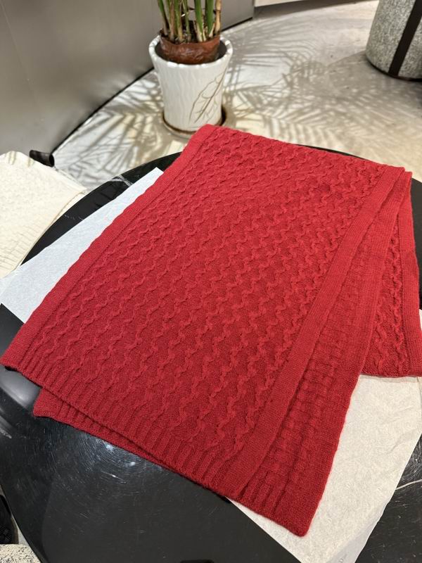 Loro Piana scarf 35X180cm E48 (1)