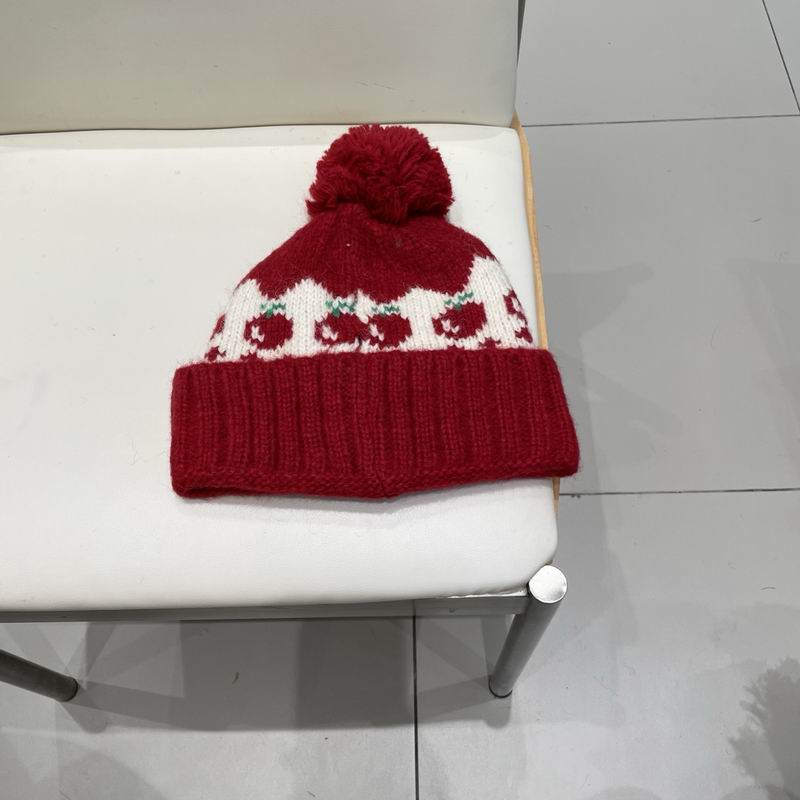 Moncler hat (2080)