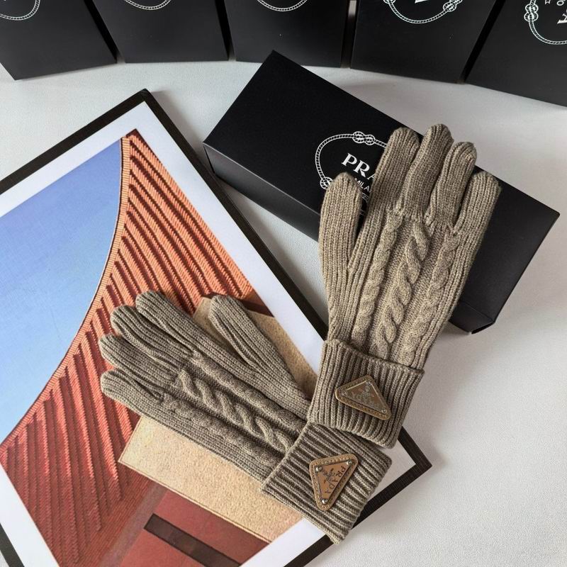 Prada Gloves 151 (23)
