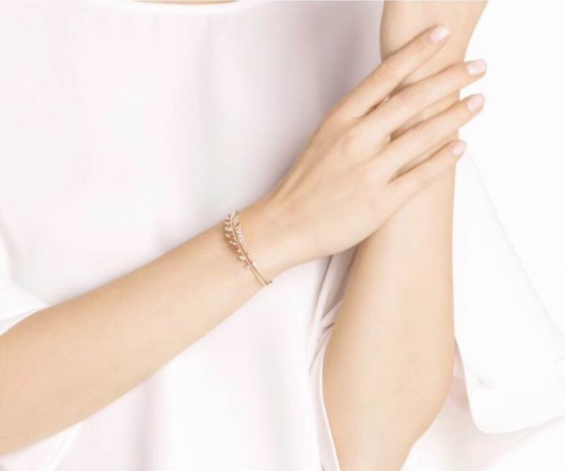 Swarovski Bracelet 10yxq13 (8)