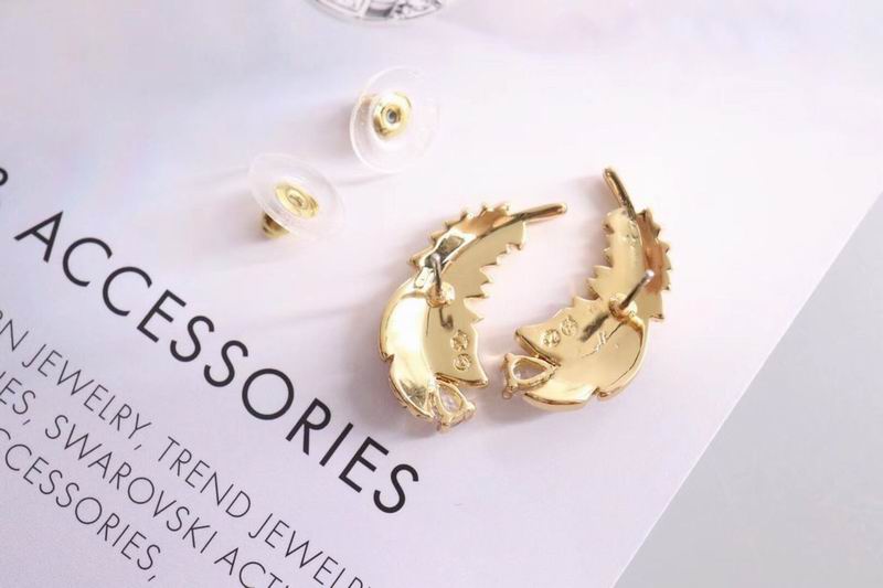 Swarovski Earring 10yxq07 (5)