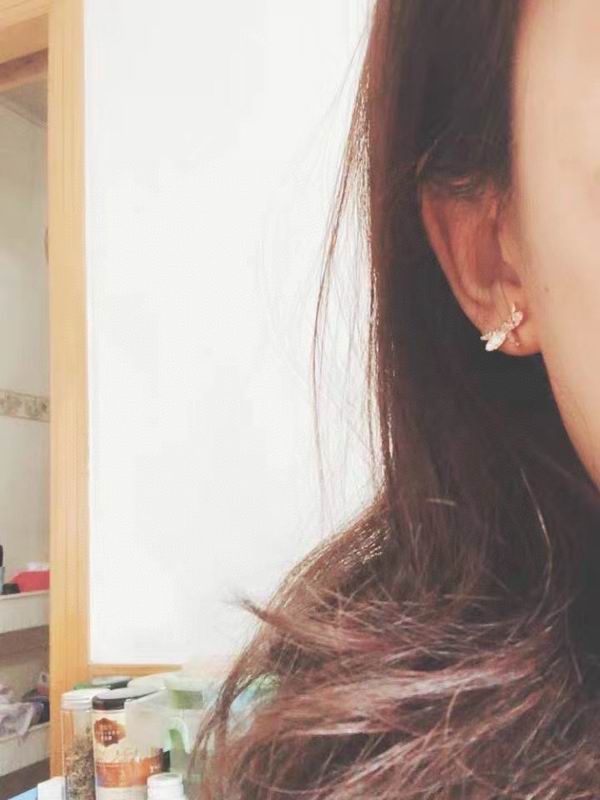 Swarovski Earring 12yxq02 (9)