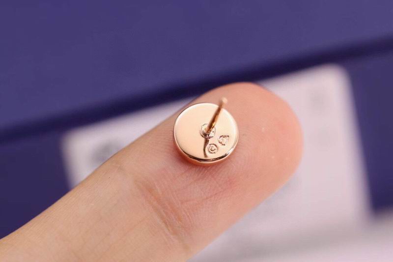 Swarovski Earring 12yxq03 (6)