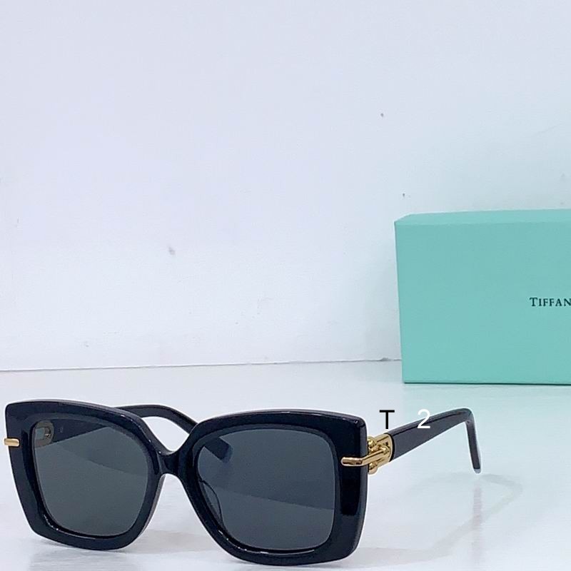 TIFFANY Co 12160 53 18-140 b04