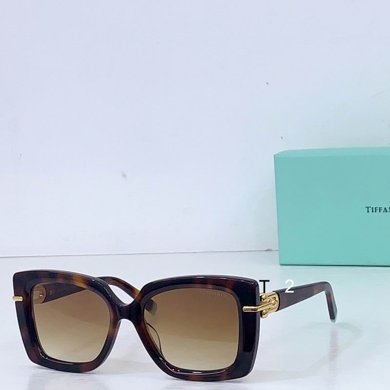 TIFFANY Co 12160 53 18-140 b05