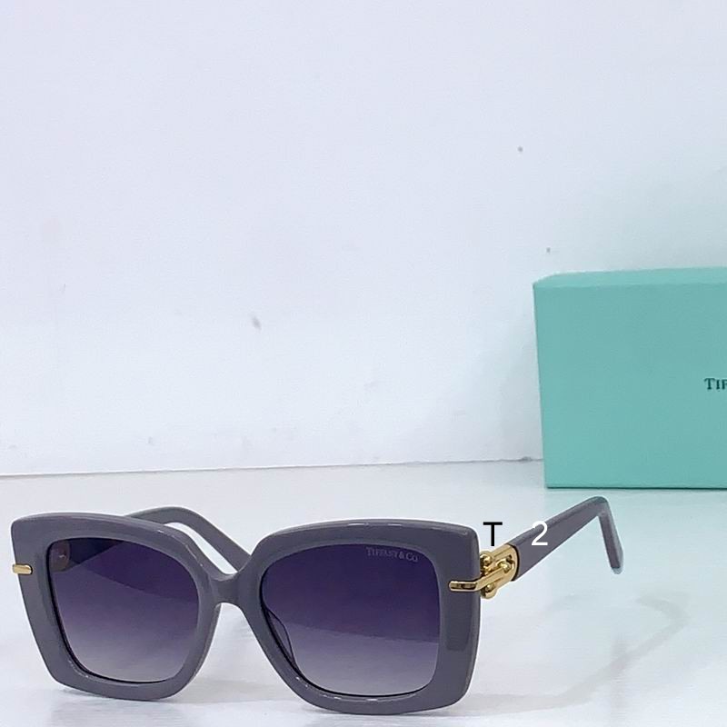 TIFFANY Co 12160 53 18-140 b06