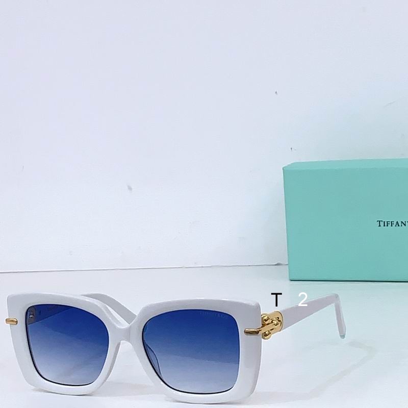 TIFFANY Co 12160 53 18-140 b08