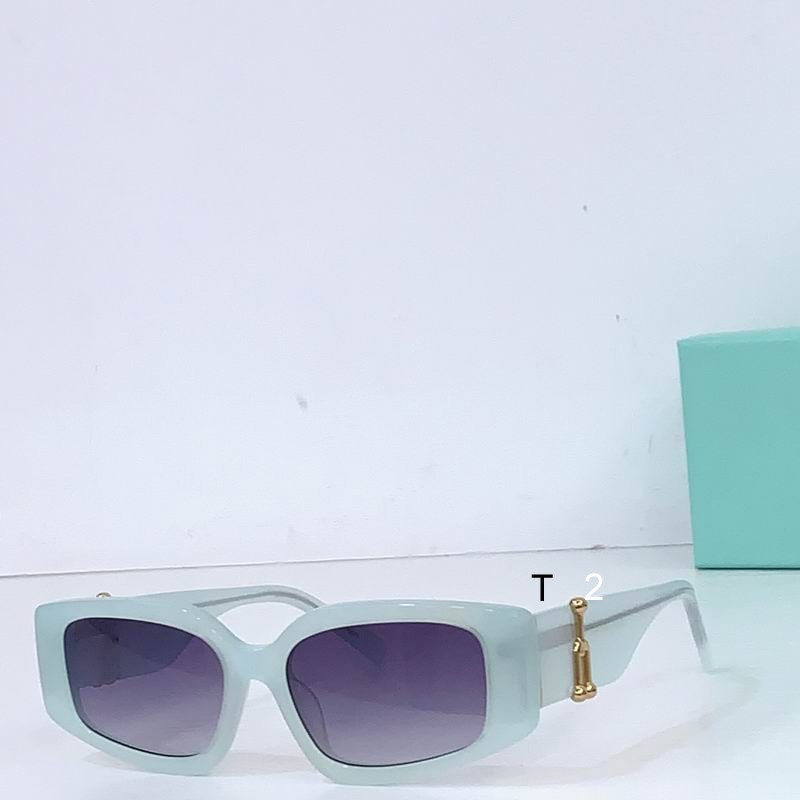 TIFFANY Co TF4208U 54 17-145 b13