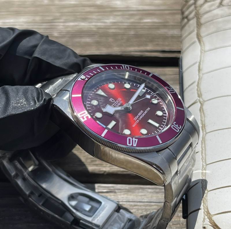 Tudor 42mm 10 (14)