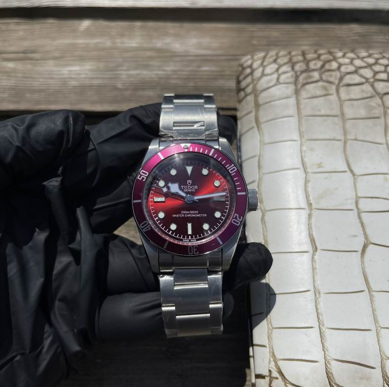 Tudor 42mm 10 (18)