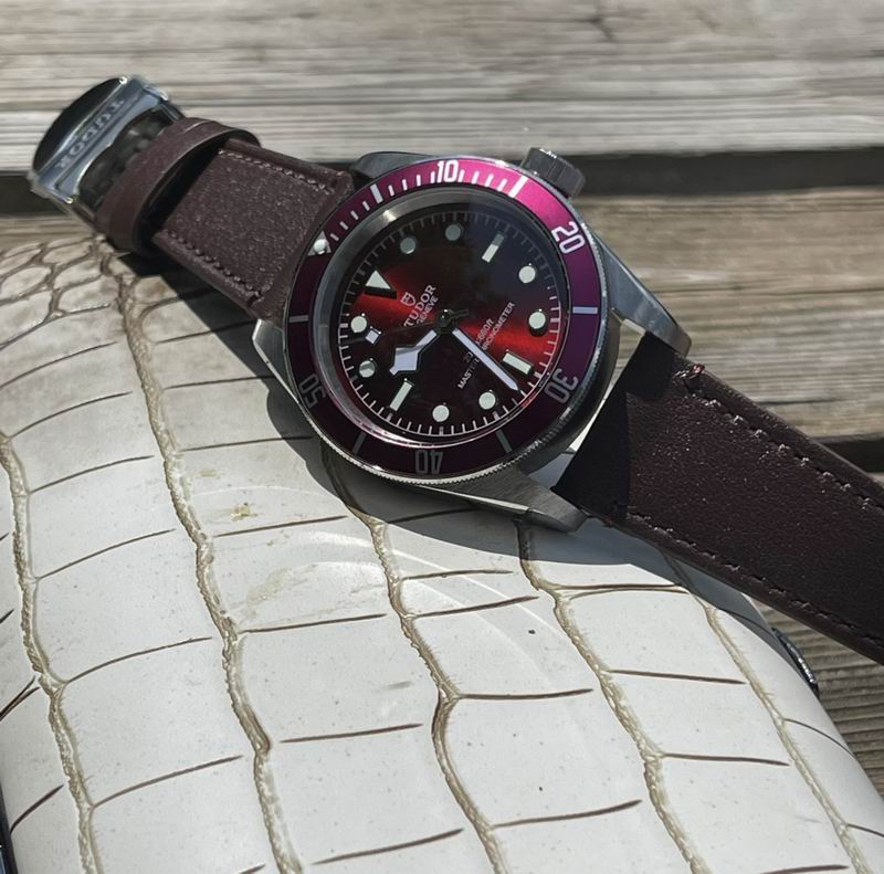 Tudor 42mm 10 (2)