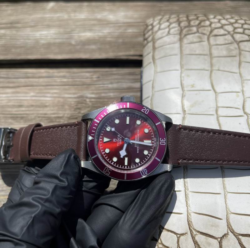 Tudor 42mm 10 (7)