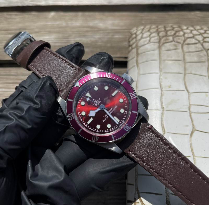 Tudor 42mm 10 (8)