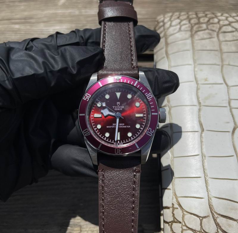 Tudor 42mm 10 (9)
