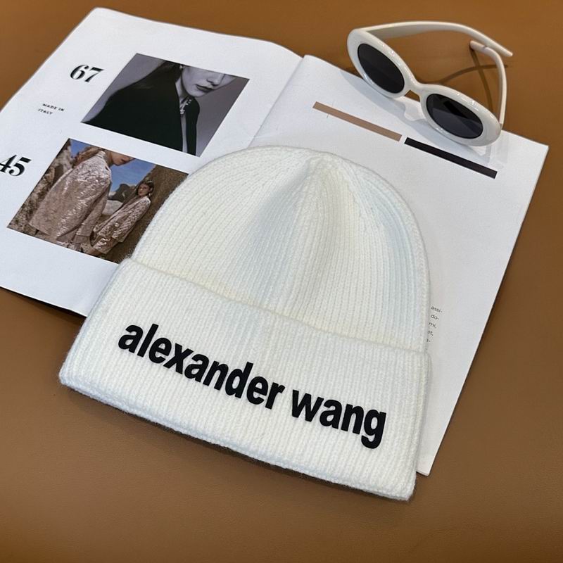 Alexander Wang Hat hm (2)