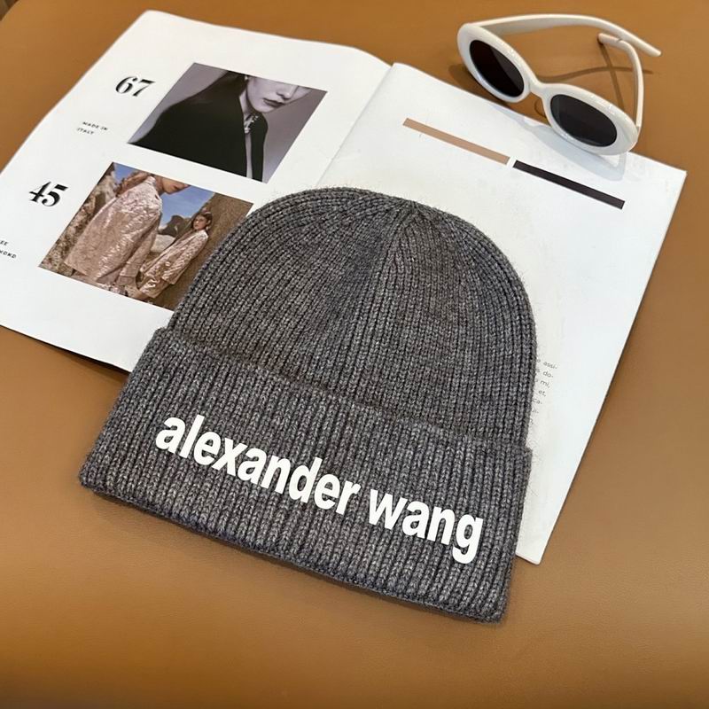 Alexander Wang Hat hm (3)