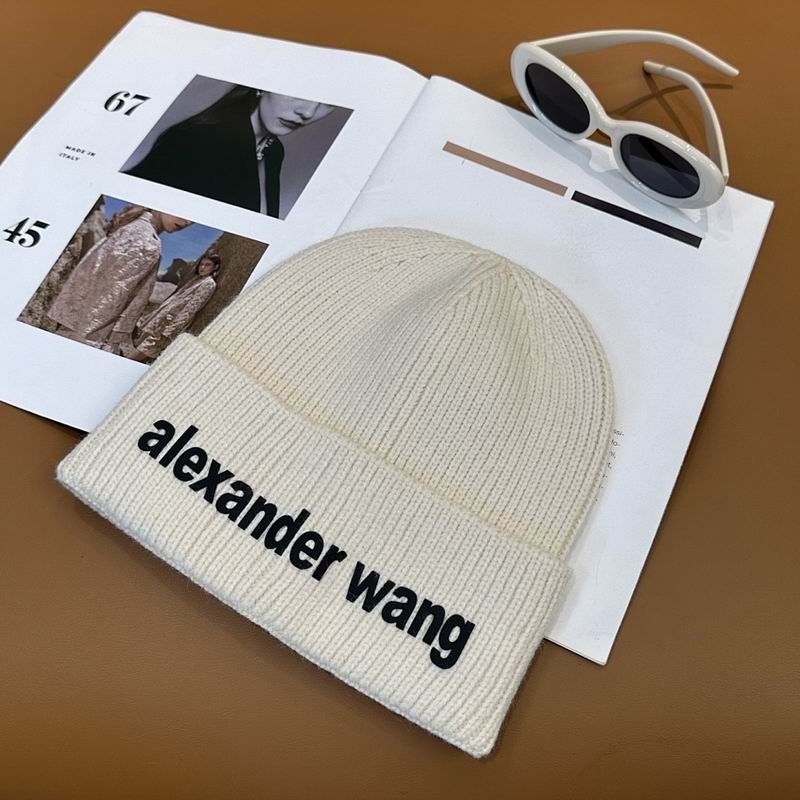 Alexander Wang Hat hm (4)