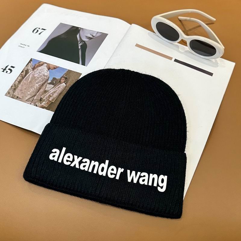 Alexander Wang Hat hm (5)