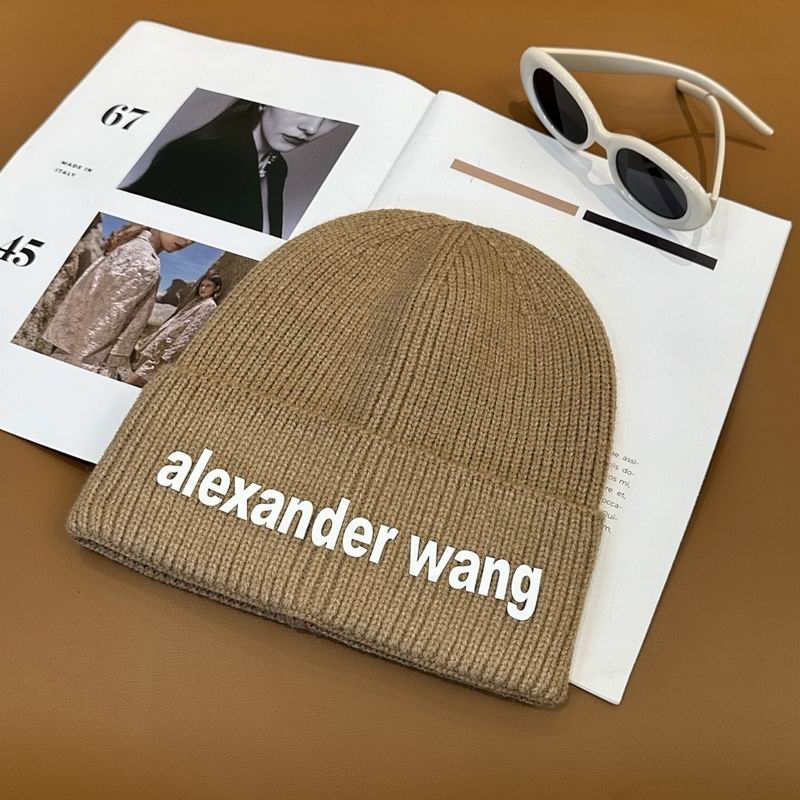 Alexander Wang Hat hm (6)