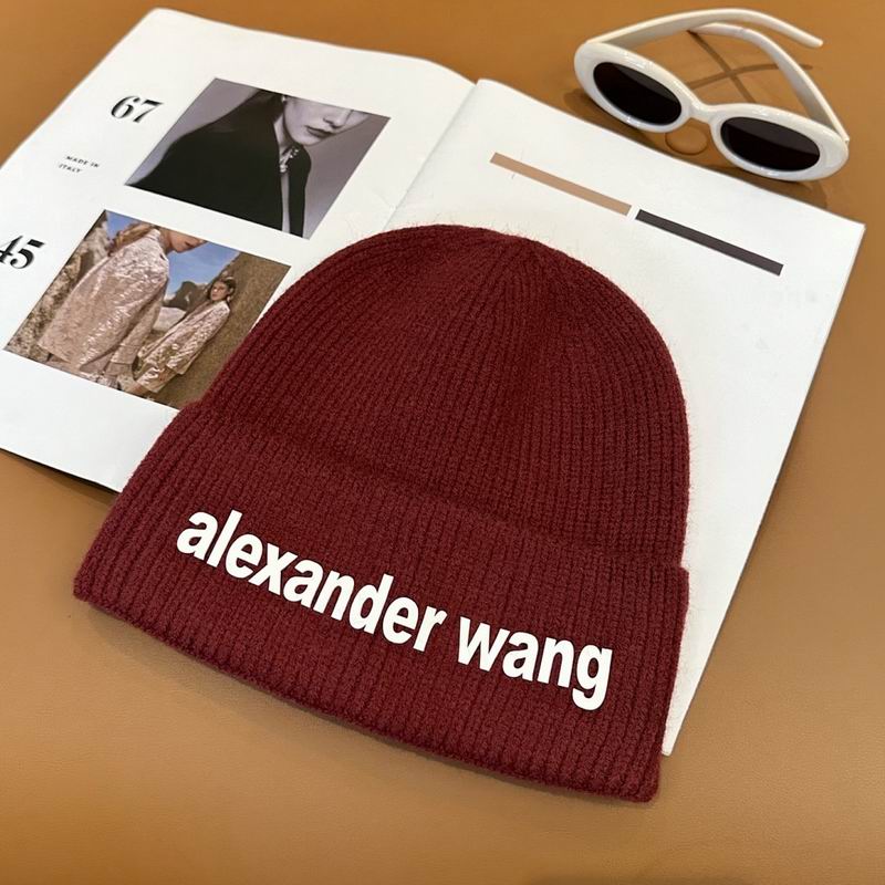 Alexander Wang Hat hm (7)