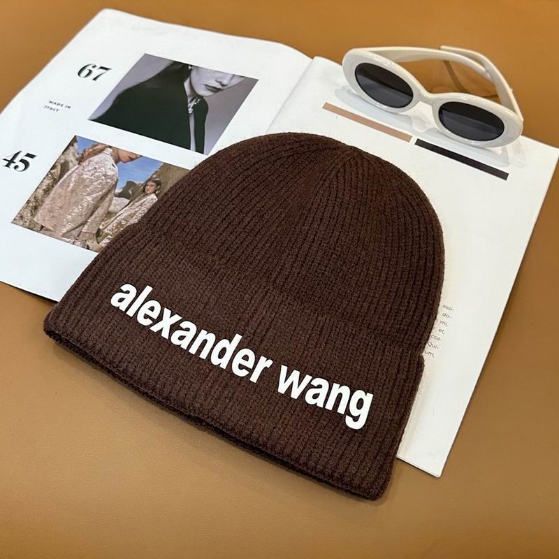 Alexander Wang Hat hm (8)