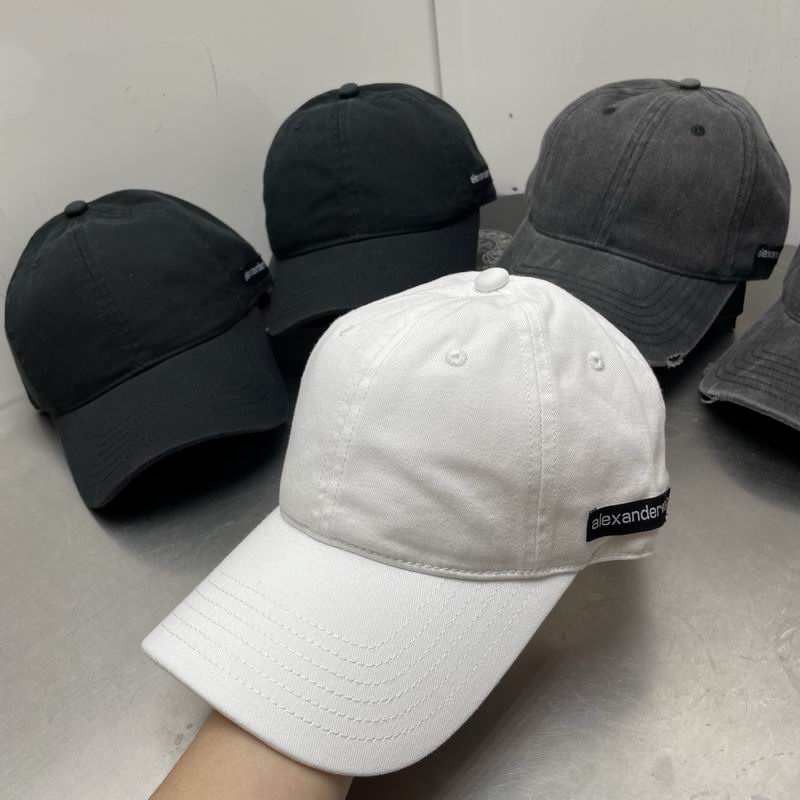 Alexander Wang cap dx (31)