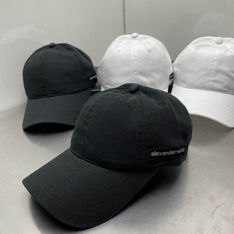 Alexander Wang cap dx (32)