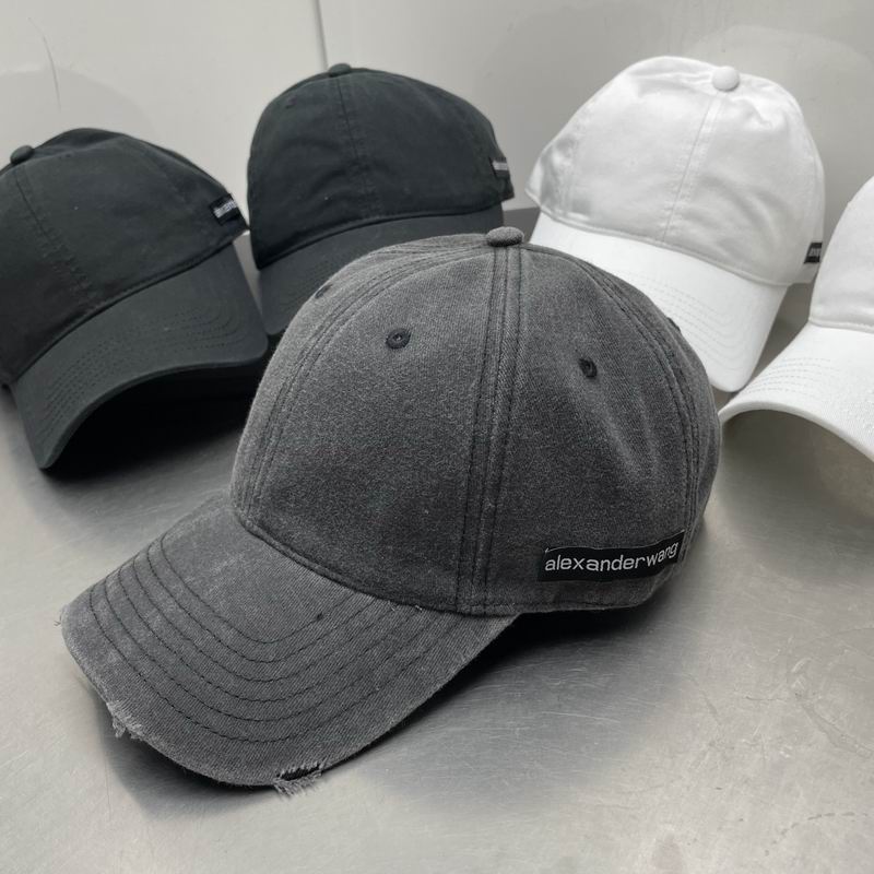 Alexander Wang cap dx (33)