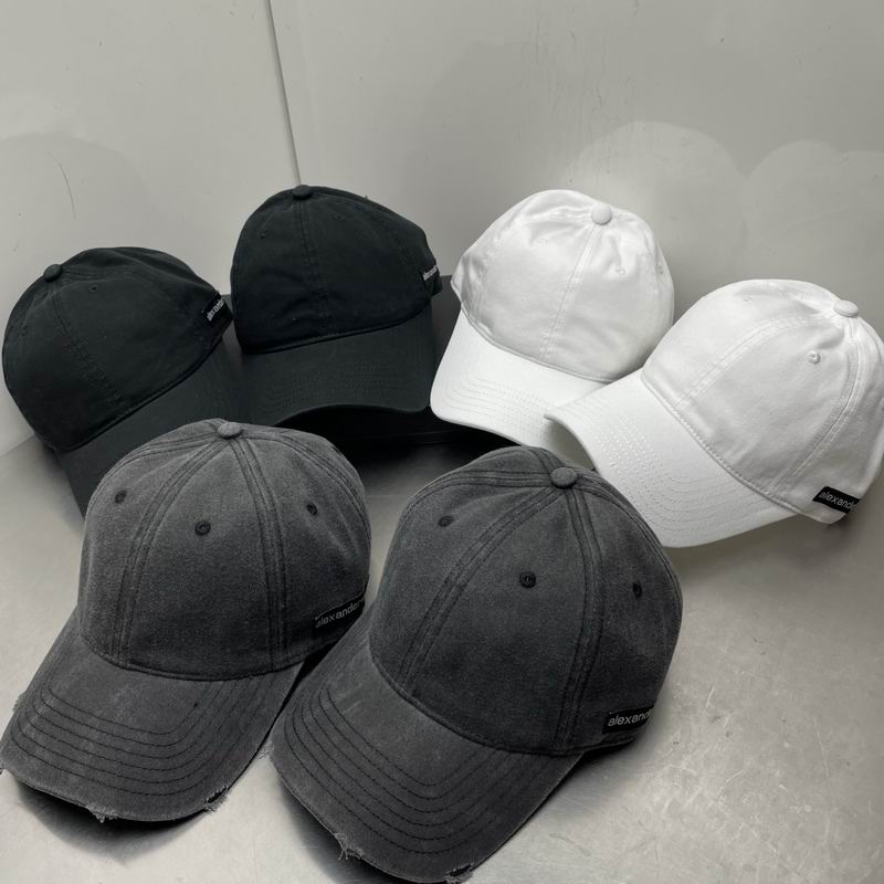Alexander Wang cap dx (34)