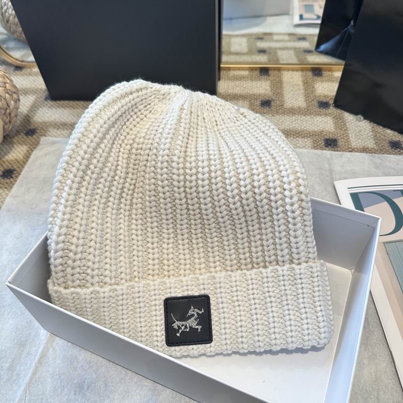 Arcteryx hat (2543)