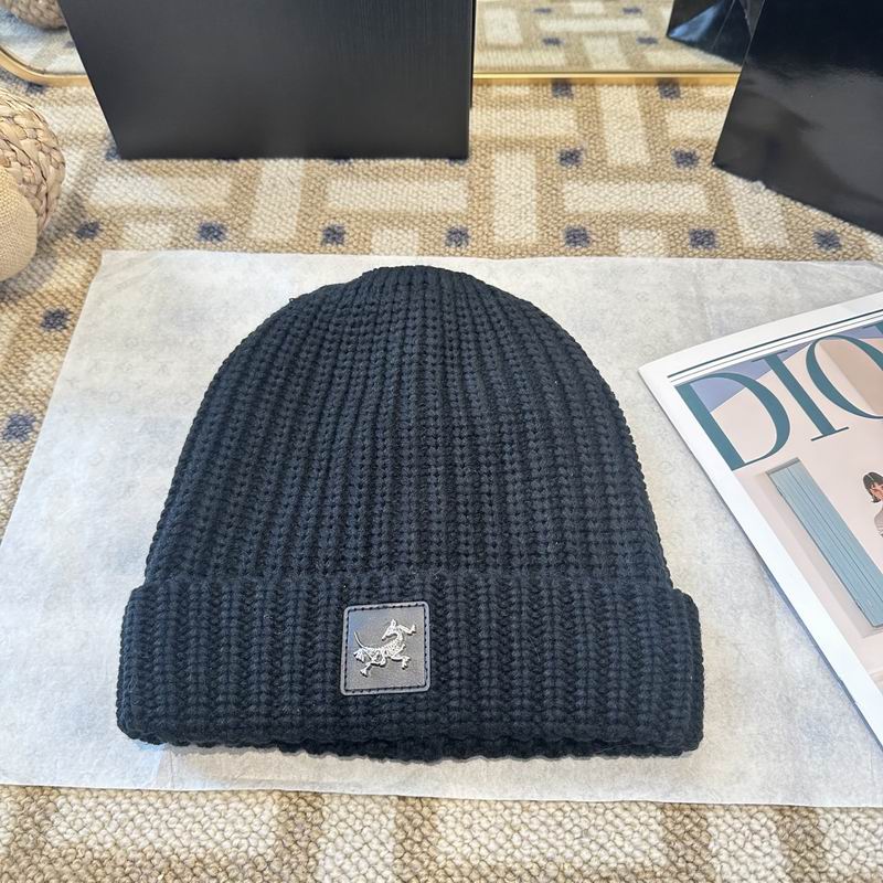 Arcteryx hat (2557)