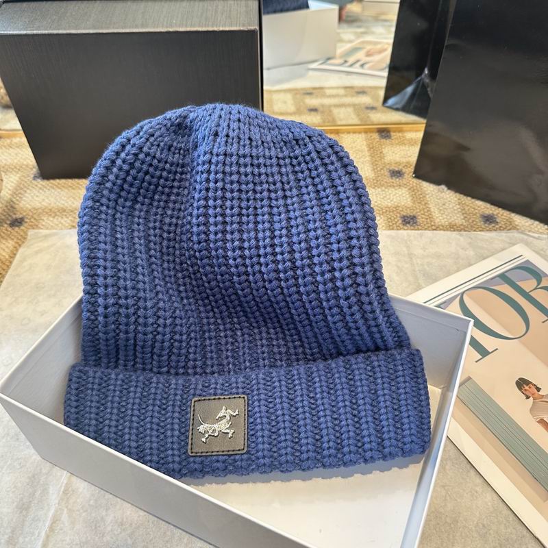 Arcteryx hat (2560)