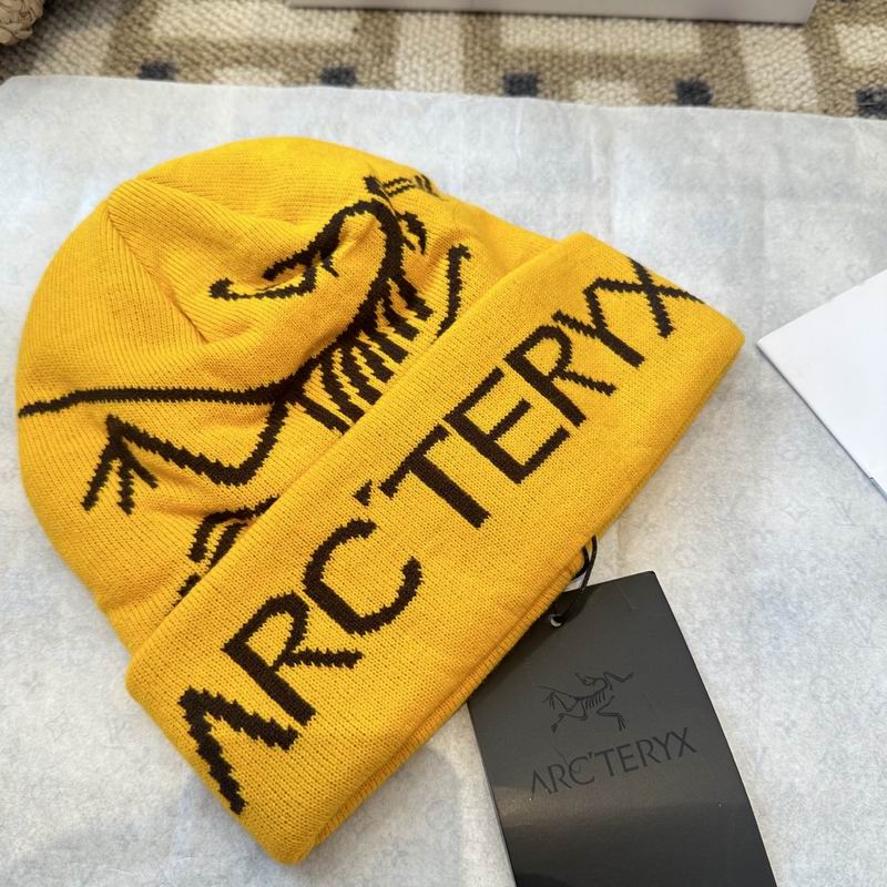 Arcteryx hat (2601)