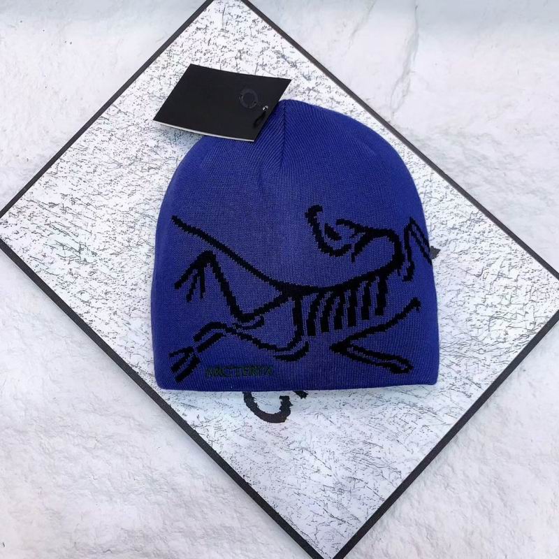 Arcteryx hat (3431)