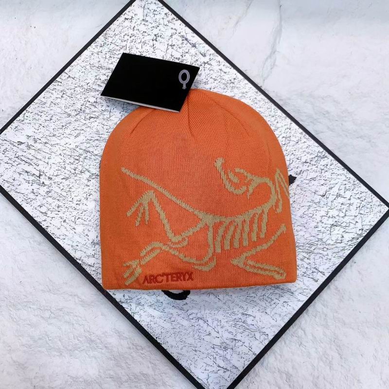 Arcteryx hat (3436)
