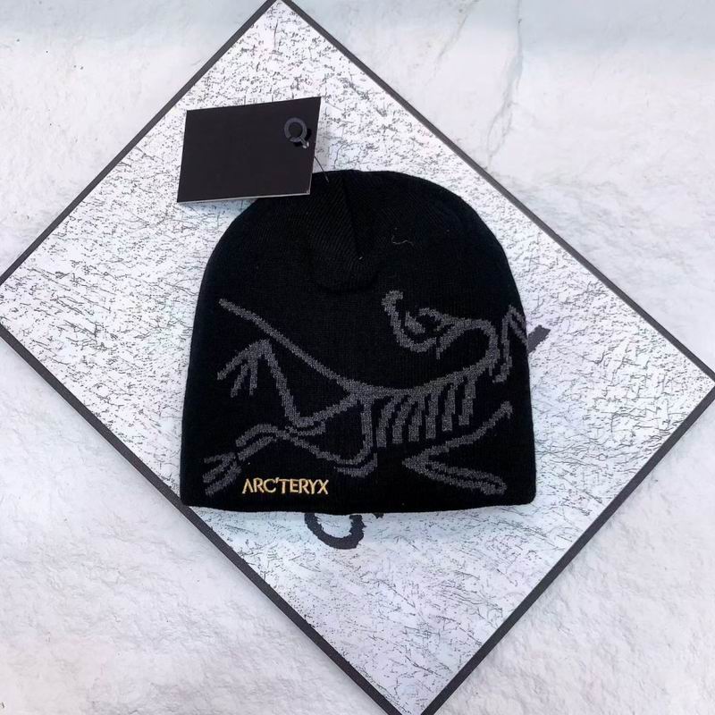 Arcteryx hat (3437)