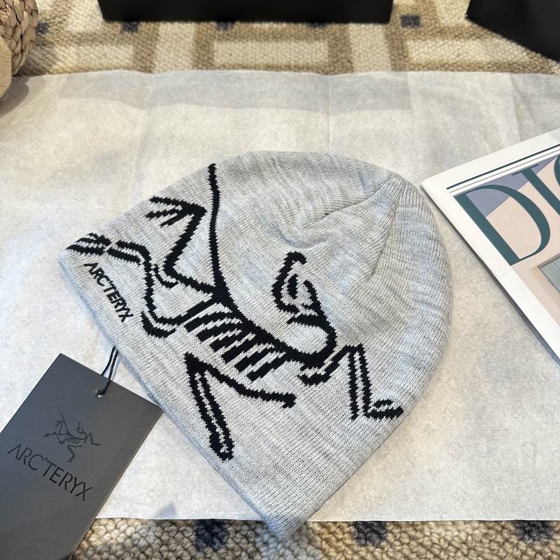 Arcteryx hat (995)