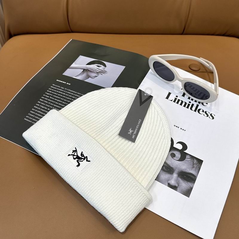 Arcteryx hat hm (11)