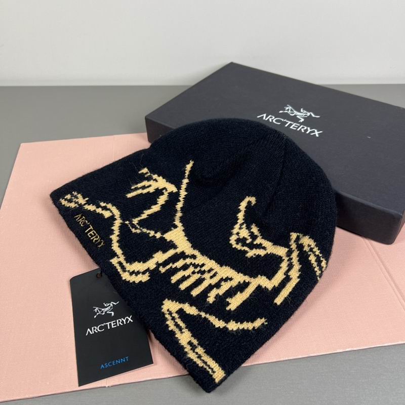 Arcteryx hat hm (21)