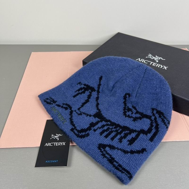 Arcteryx hat hm (24)