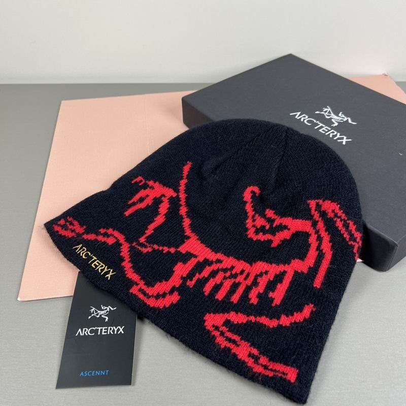 Arcteryx hat hm (25)
