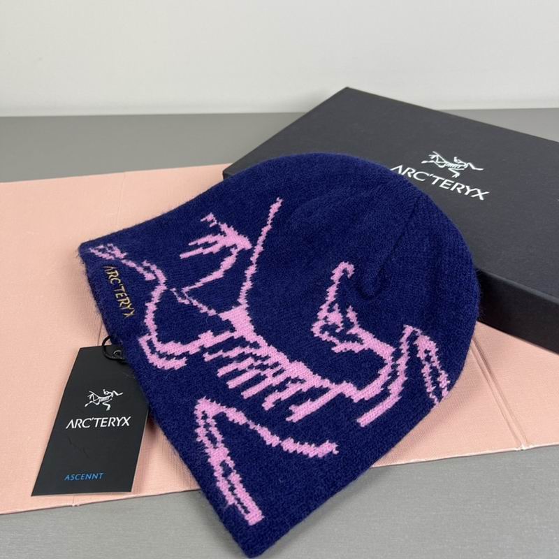 Arcteryx hat hm (26)