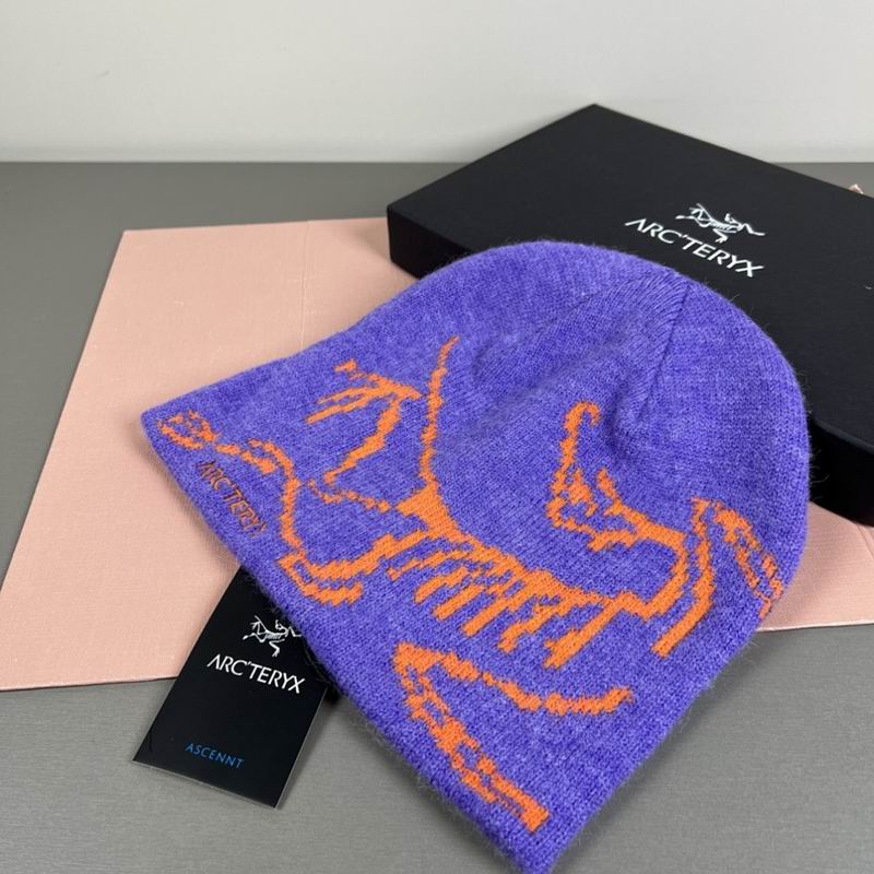 Arcteryx hat hm (27)