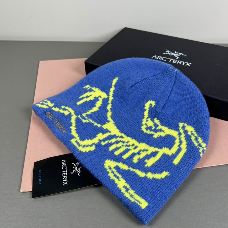 Arcteryx hat hm (28)