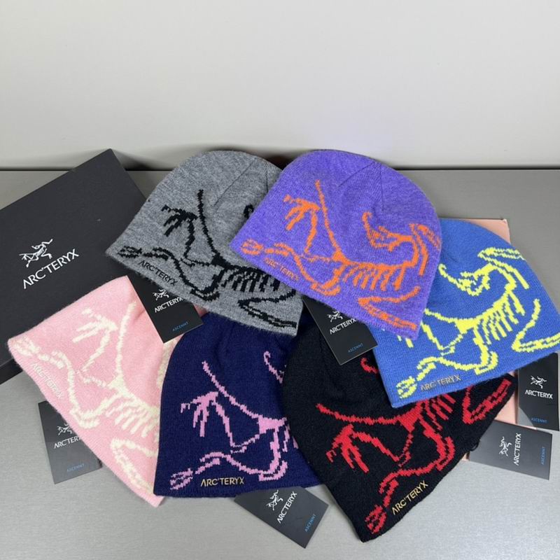 Arcteryx hat hm (29)