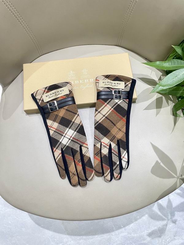 Burberry Gloves 81 (11)