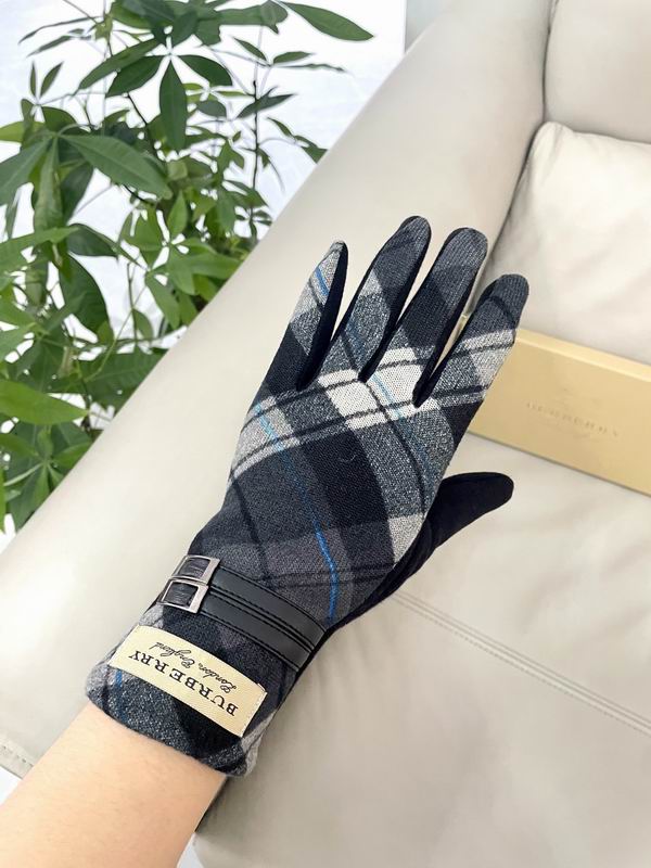 Burberry Gloves 81 (19)