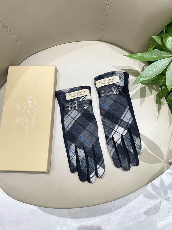 Burberry Gloves 81 (24)